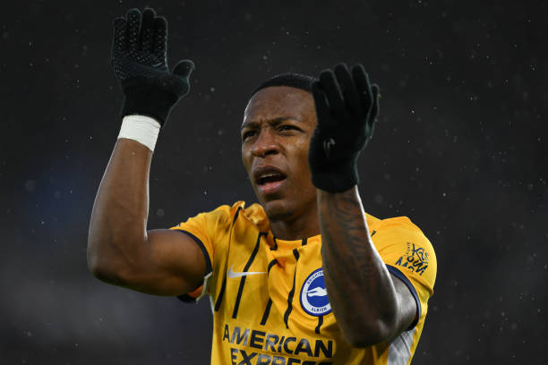 仅仅是智力 仅仅是智力