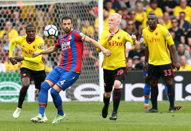 能与运动天 能与运动天