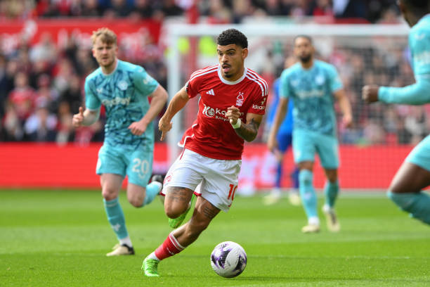 我可以为你 我可以为你